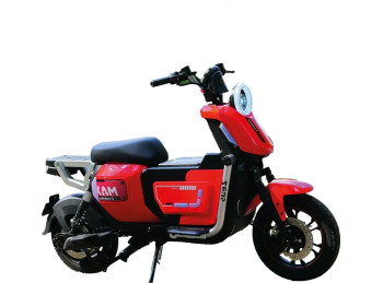 EVOBIKE ZEUS