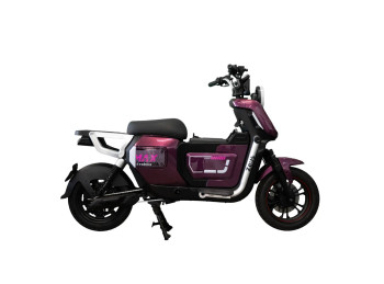 EVOBIKE ZEUS